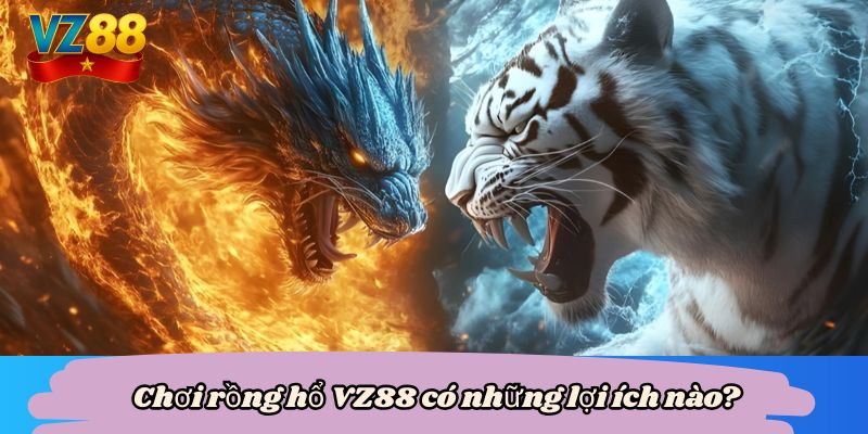Chơi rồng hổ VZ88 có những lợi ích nào?