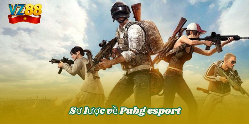 Sơ lược về Pubg esport