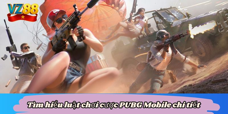 Tìm hiểu luật chơi cược PUBG Mobile chi tiết