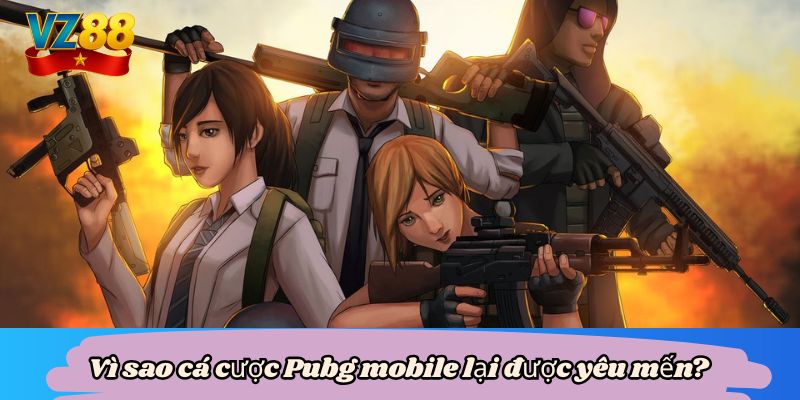 Vì sao cá cược Pubg mobile lại được yêu mến?