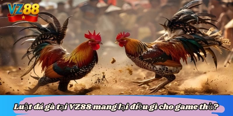 Luật đá gà tại VZ88 mang lại điều gì cho game thủ?