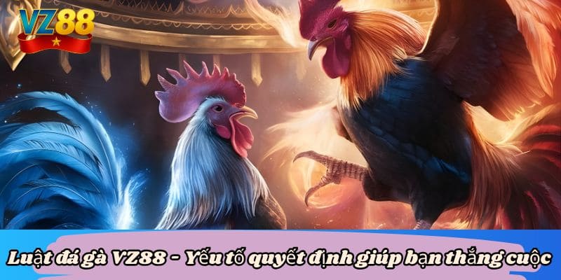 Luật đá gà VZ88 - Yếu tố quyết định giúp bạn thắng cuộc