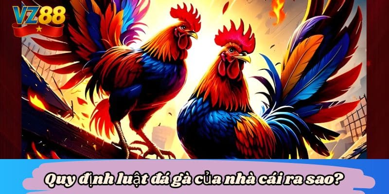 Quy định luật đá gà của nhà cái ra sao?