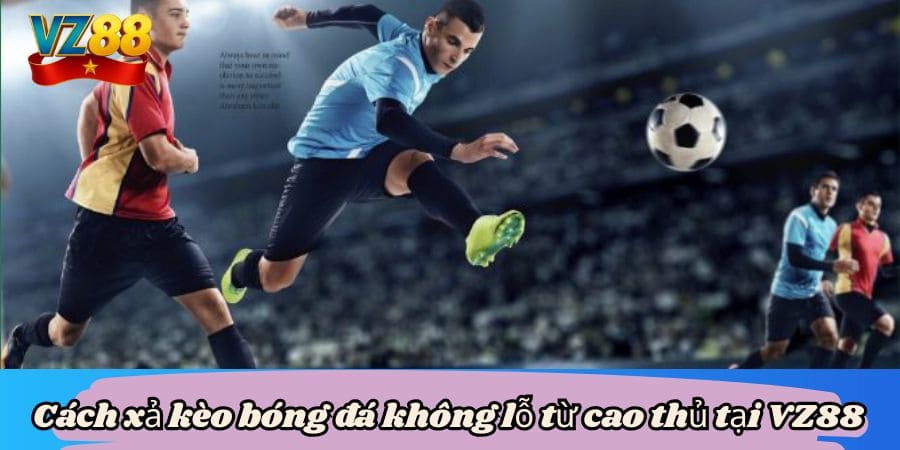 Cách xả kèo bóng đá không lỗ từ cao thủ tại VZ88