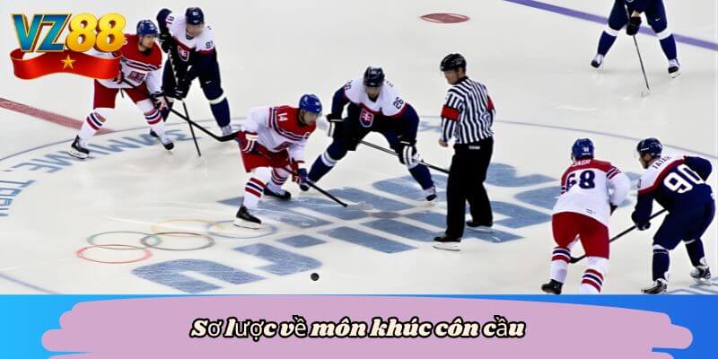 Sơ lược về môn khúc côn cầu